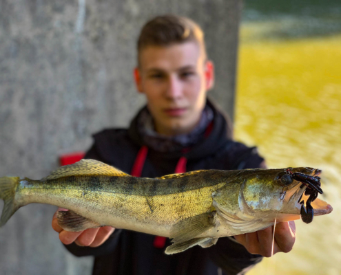 Jonathan Stehr - Tideritter Supporter erster Stunde mit 1. Zander 2020