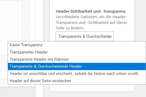 View of the actual option to choose the header look
